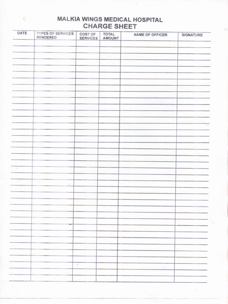 Charge Sheet 3 | PDF