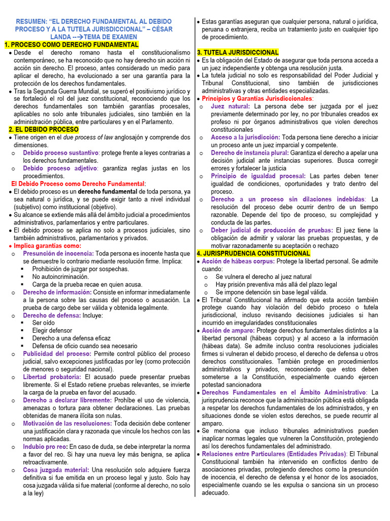 Apuntes Papi Ricalde Actualizado | PDF | Debido al proceso | Ley procesal