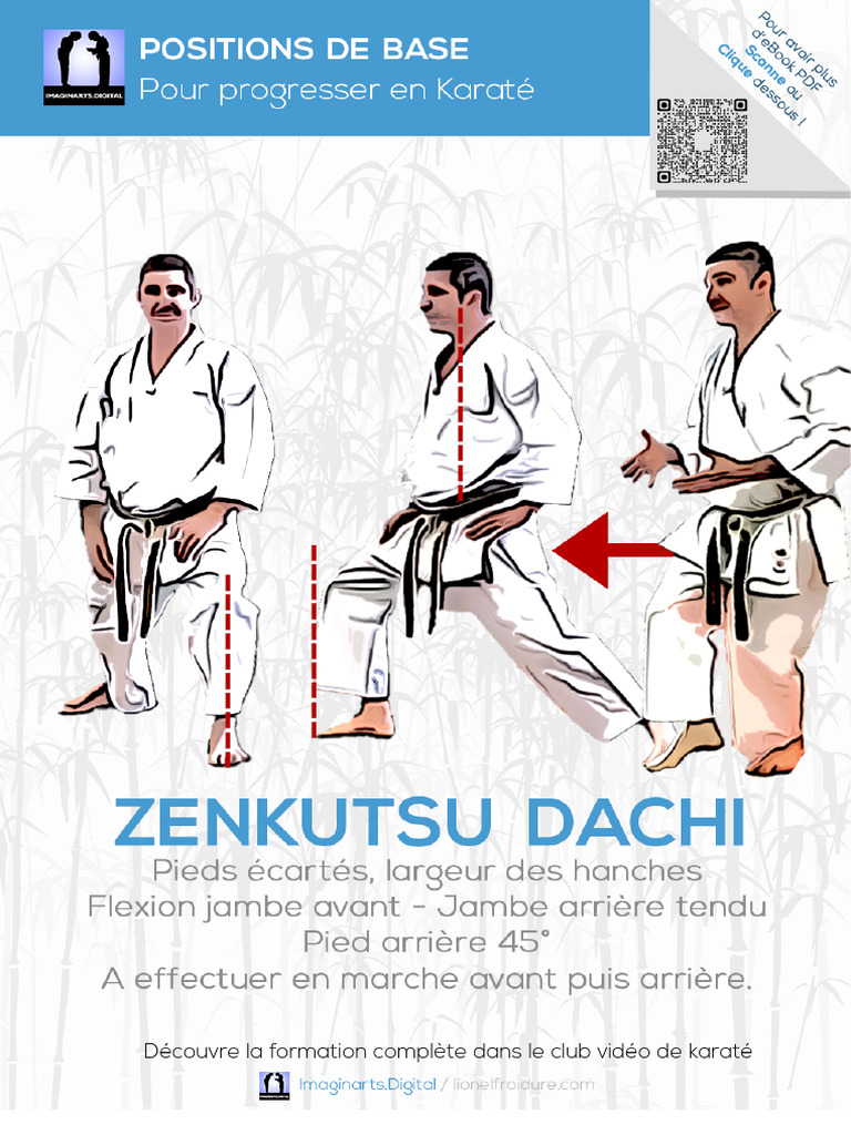 Formation Vidéo de Karaté Dachi | PDF