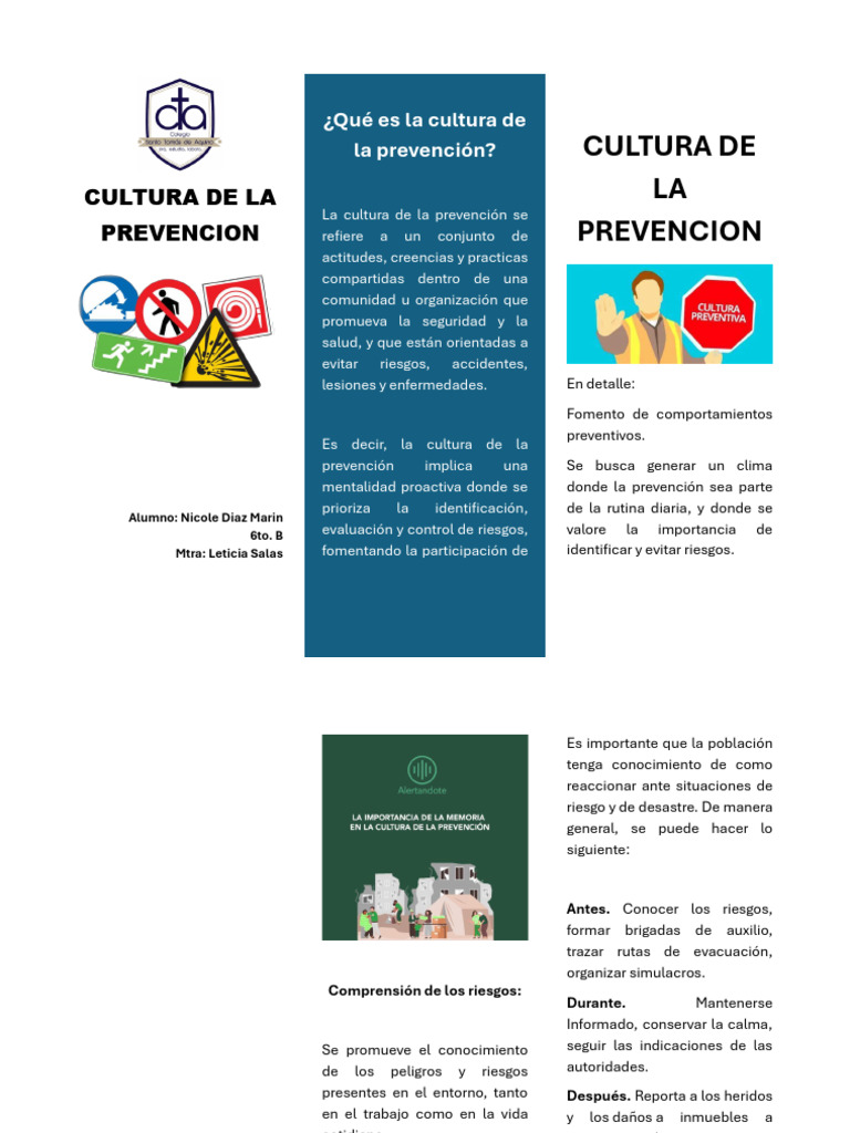 Cultura de La Prevencion - Portada | PDF