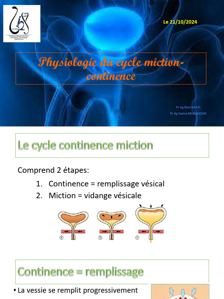 Physiologie de la miction et continence | PDF | Prostate | Cortex insulaire