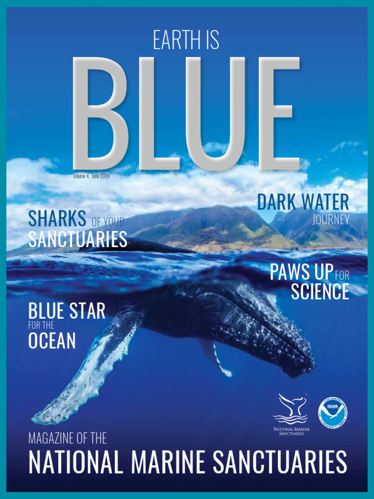Earth Is Blue Magazine v4 | PDF | Shipwrecks | Oceanography