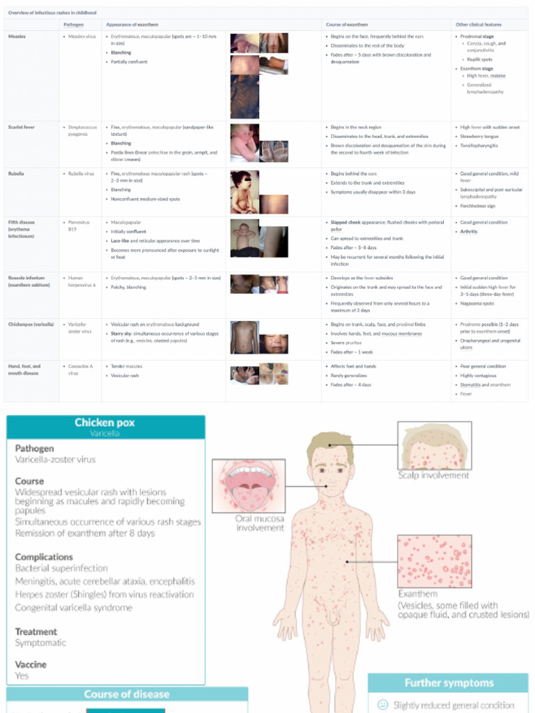 Overview of Infectious Childhood Rashes | PDF