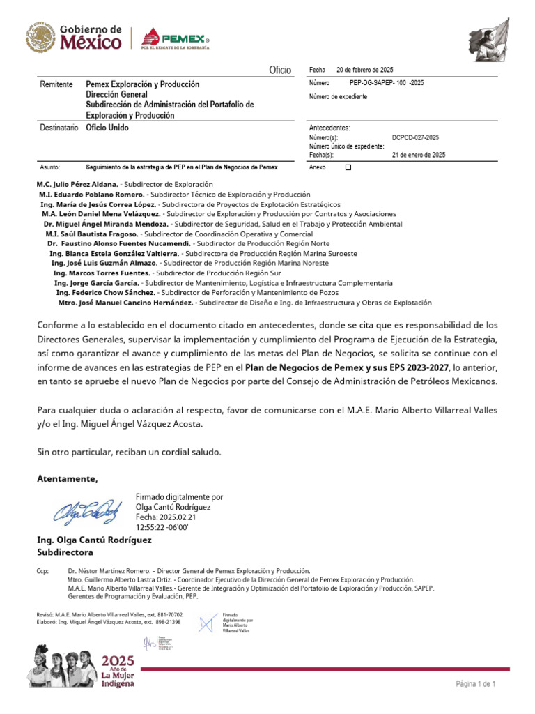 Informe sobre Plan de Negocios Pemex 2025 | PDF