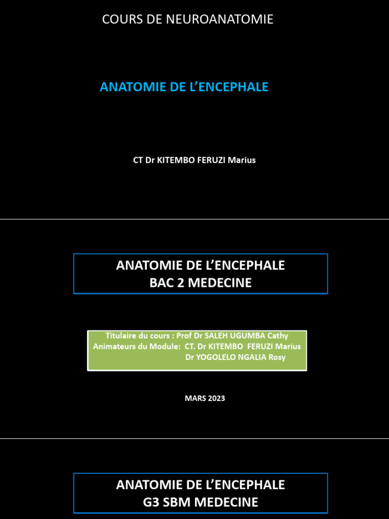 Cours de Neuroanatomie: Anatomie Cérébrale | PDF | Circonvolution ...