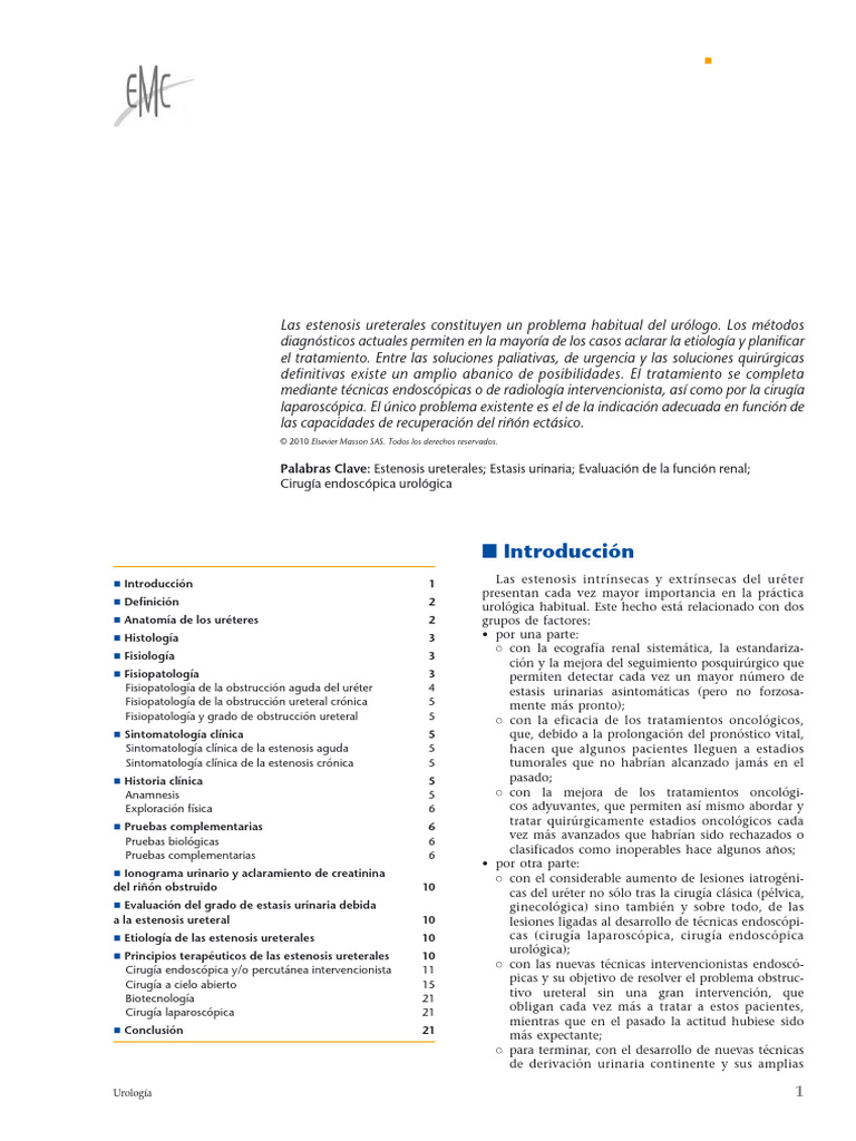 Estenosis Ureterales Intrínsecas Y Extrínsecas 2010 | PDF | Riñón ...