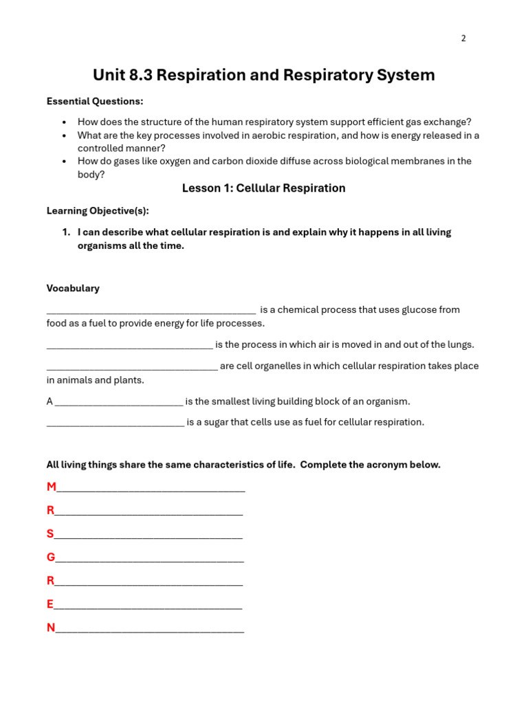 Human Respiratory System Overview | PDF | Breathing | Lung