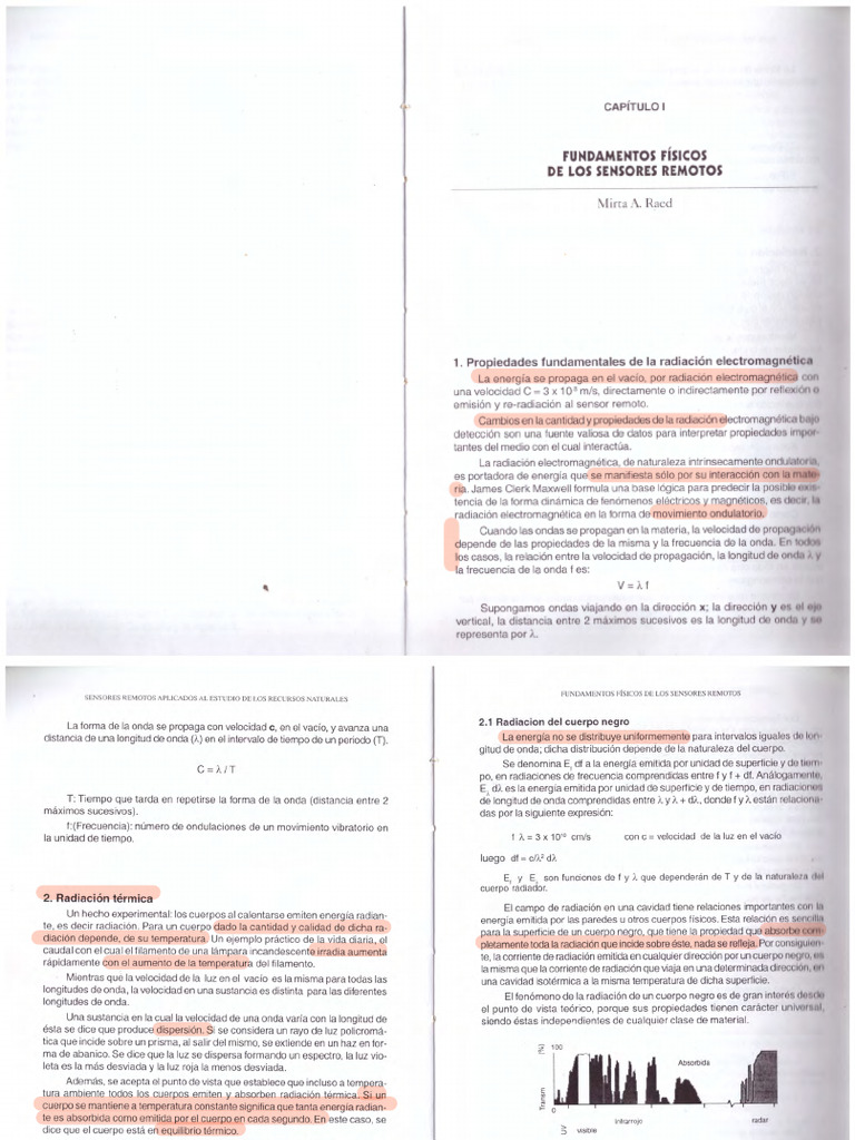 Capítulo I de Libro | PDF