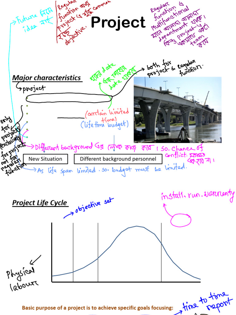 Understanding Project Management Essentials | PDF