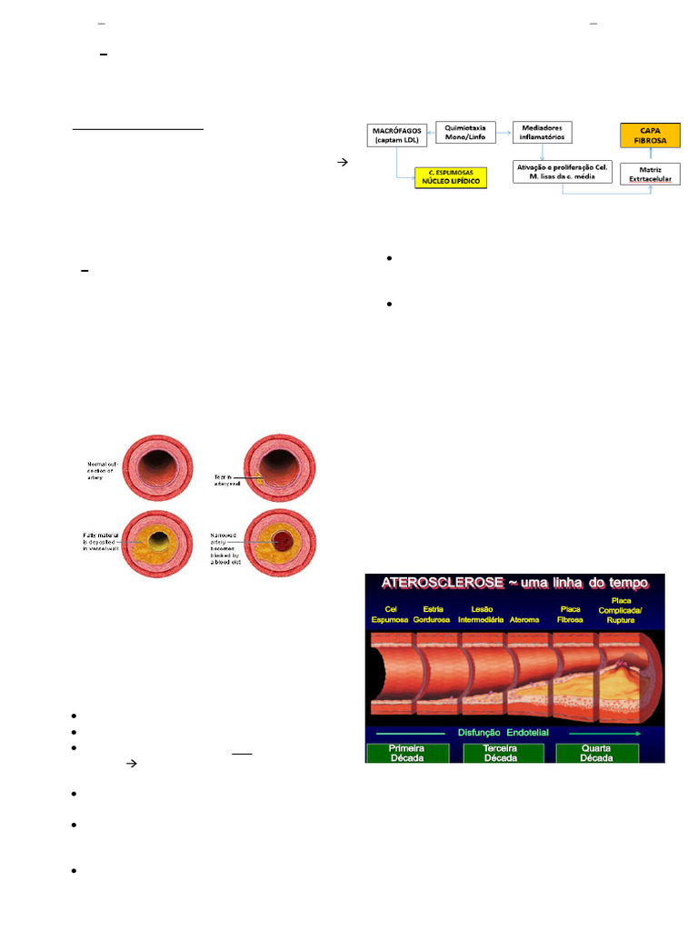 Doença Arterial Coronária: Causas e Tratamento | PDF | Doença arterial ...