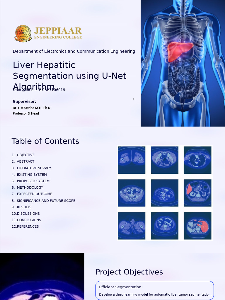 Liver Hepatic Segmentation With Page Numbers | PDF | Image Segmentation ...