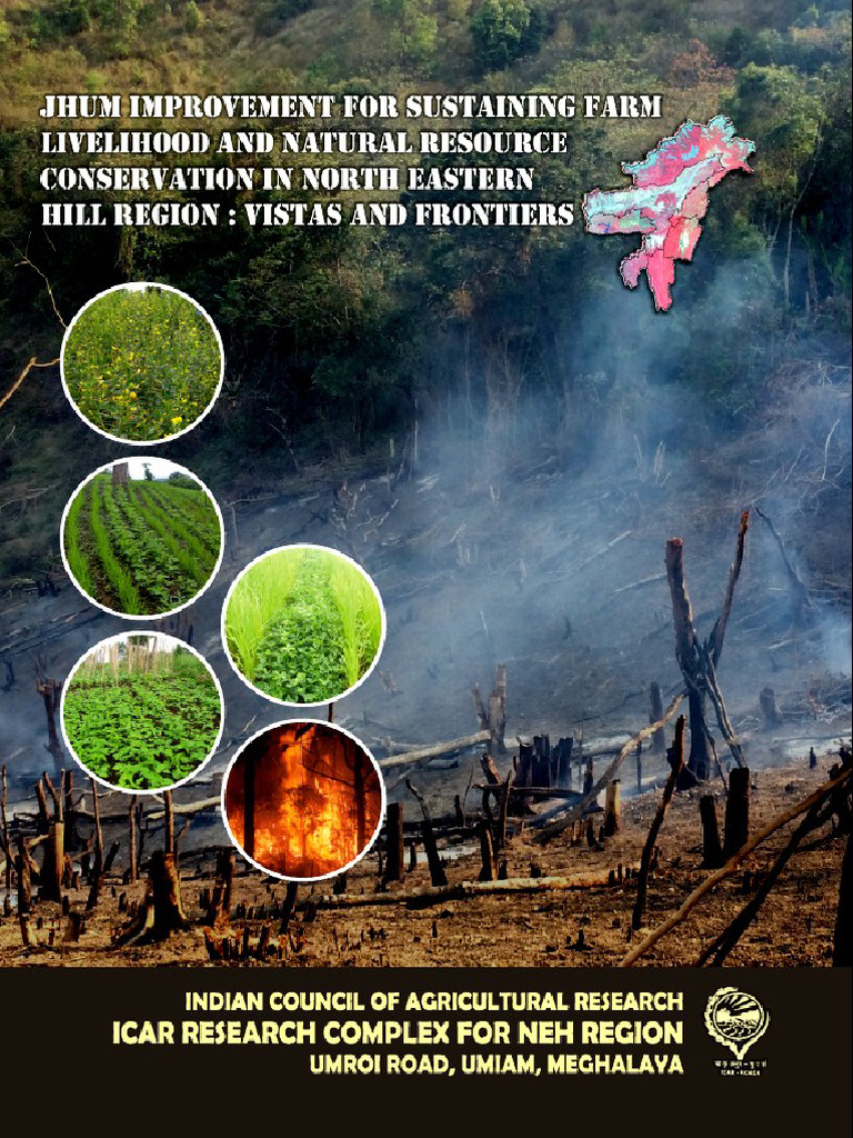 Jhum Cultivation: Sustainability in NE India | PDF | Agriculture | Soil