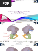 Muscles of The Anterior Thigh - Quadriceps - TeachMeAnatomy | PDF ...