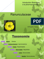 Introduction Botanique Présentation - Ranunculaceae