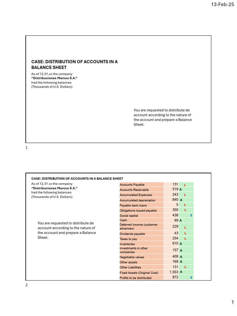 Wk8 - CASE - Distribucion of Accounts in A Balance Sheet | PDF ...