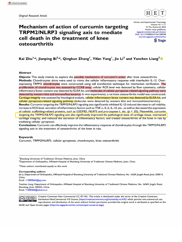 Zhu Et Al 2024 Mechanism of Action of Curcumin Targeting Trpm2 Nlrp3 ...
