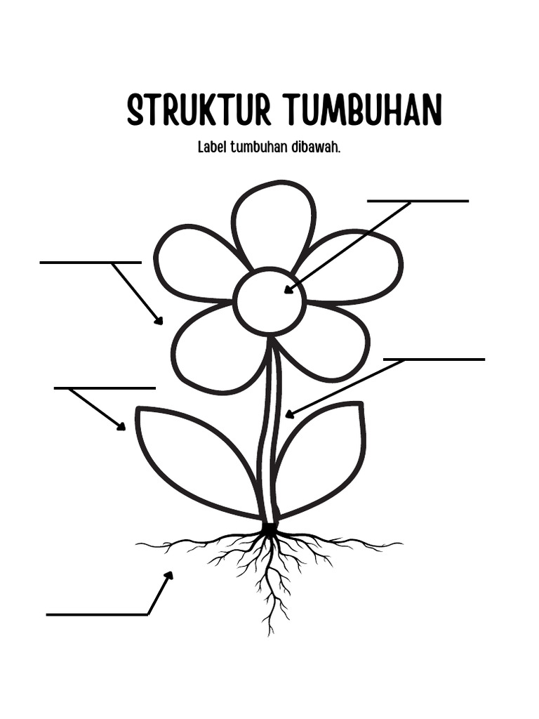 Parts of A Plant Labeling Worksheet in Green and White Fun Style | PDF