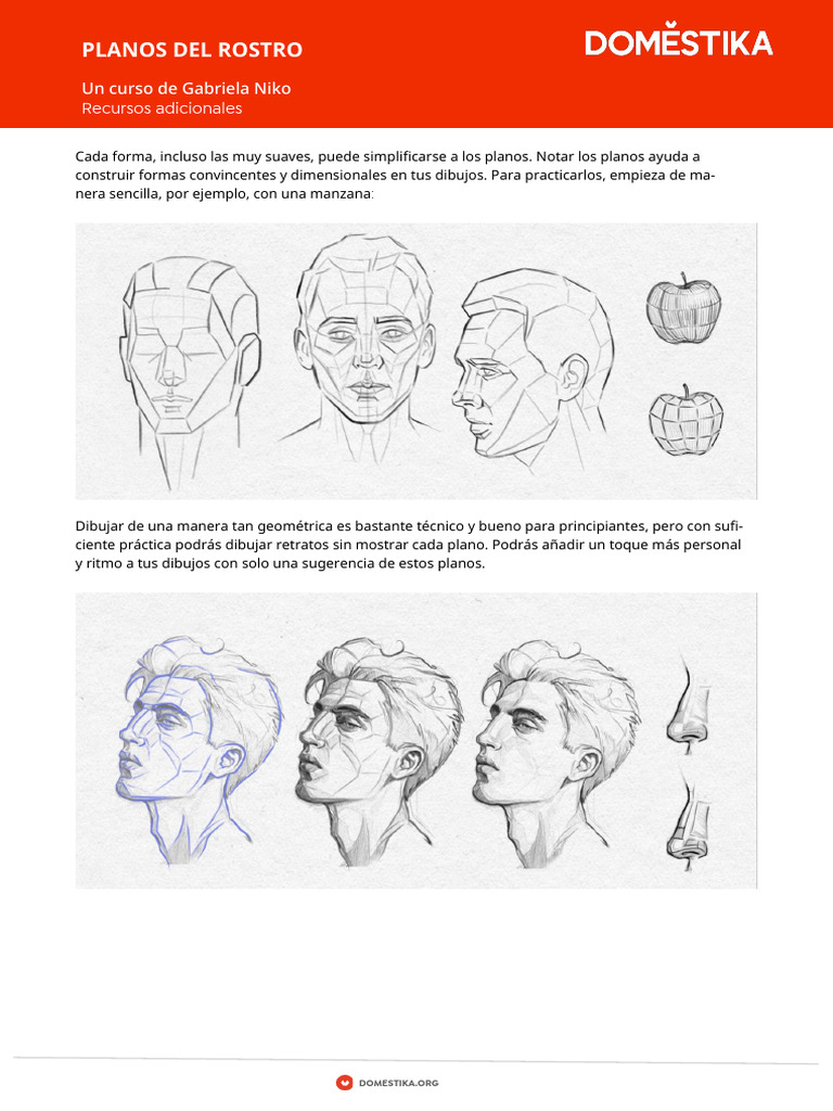 U3 - 06 (Planes of The Face) - Spanish | PDF