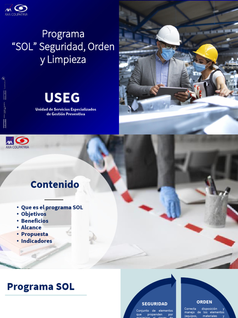 Programa SOL: Seguridad y Limpieza | PDF | Business | Valores