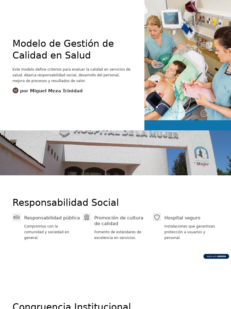 Modelo de Calidad en Salud Animado | PDF | Calidad (comercial) | Economias