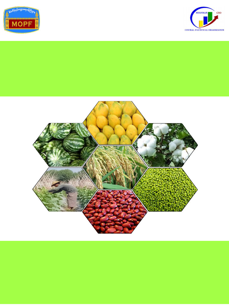 AgriculturalS Tatistics (2015-2016) PDF Combined File | PDF ...