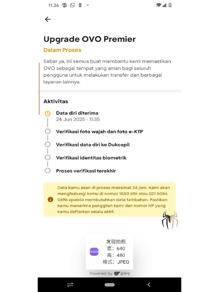 Screenshot 20250624-113611 OVO | PDF