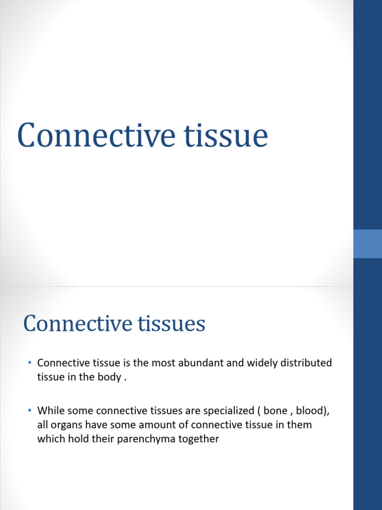 Overview of Connective Tissue Types | PDF | Connective Tissue | Bone