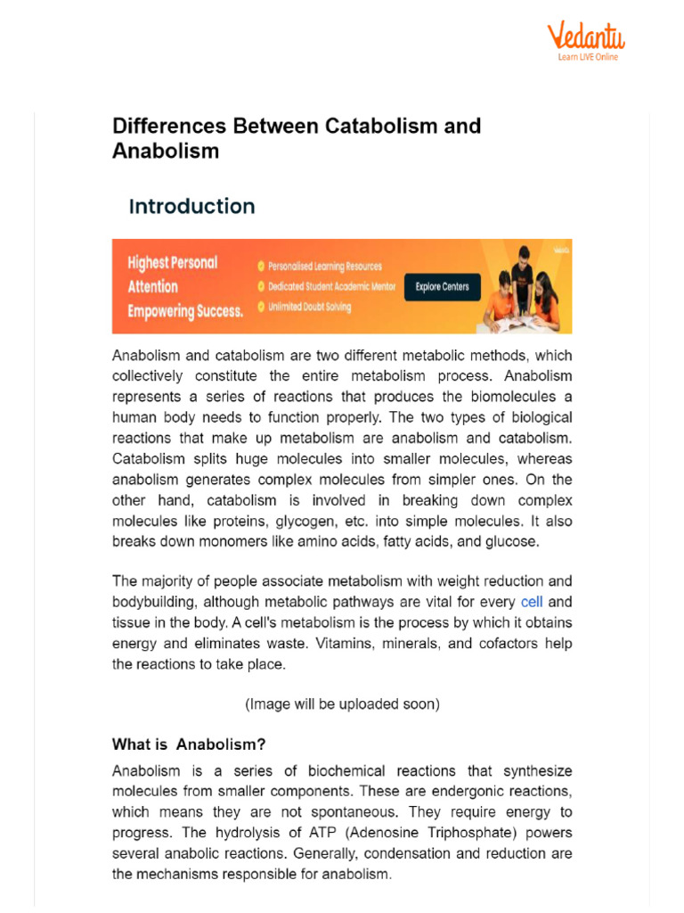 Differences Between Catabolism and Anabolism | PDF