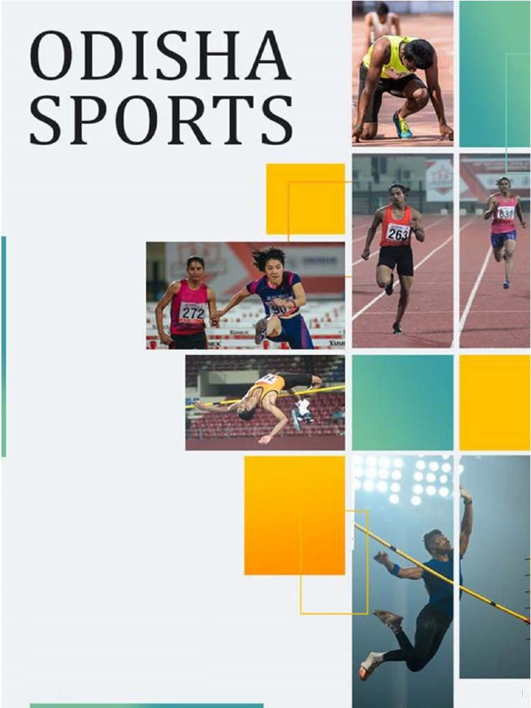 Player Profile User Manual for ADSYS | PDF | Pie Chart | Identity Document