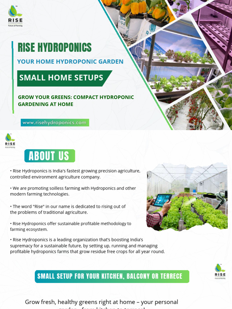 Terrace Hydroponic Garden Solutions | PDF | Hydroponics | Agriculture