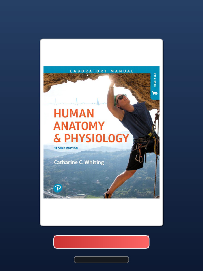 Humanor not? visual data 2