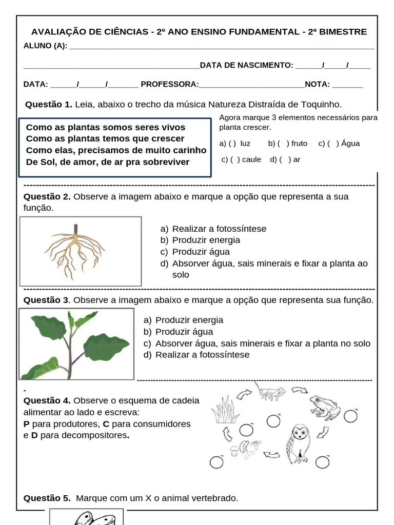 Avaliação de Ciências - 2º Ano | PDF | Plantas | Natureza