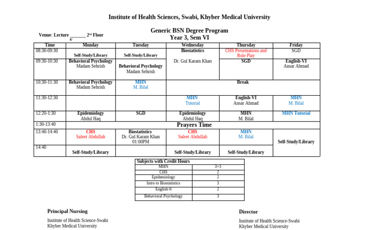 Sem VI Schedule for BSN Program | PDF