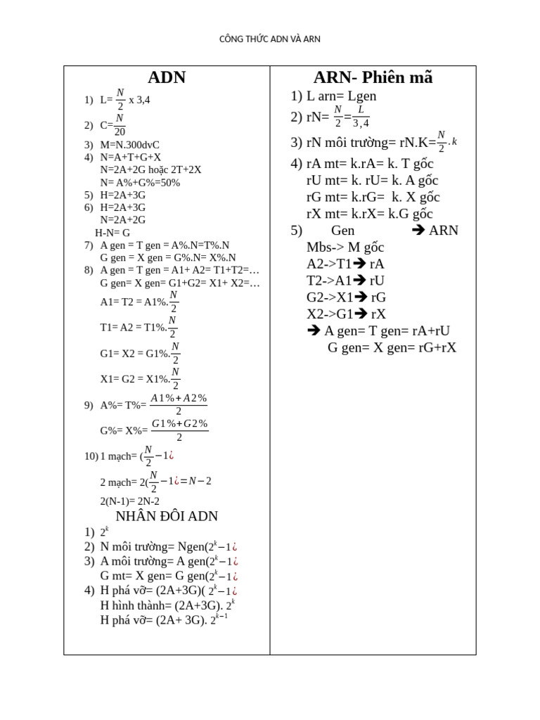 ADN ARN-Phiên Mã | PDF