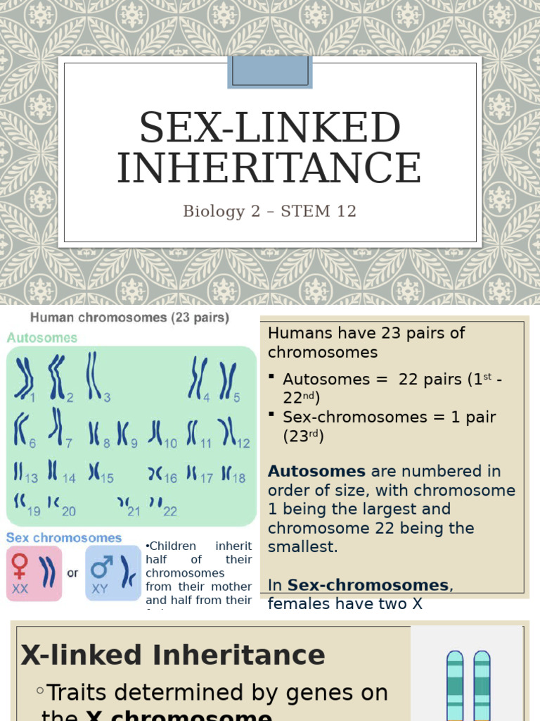 Sex Linked Inheritance Non Mendelian | PDF | Dominance (Genetics) | Gene