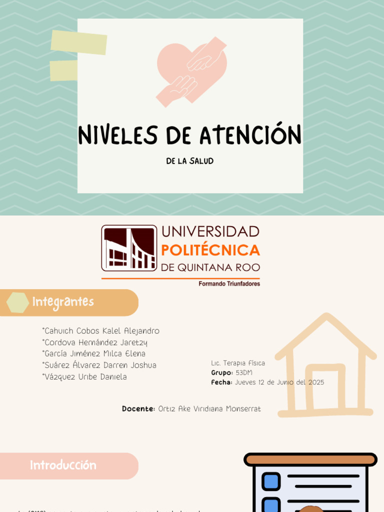 Niveles de Atención en Salud Pública | PDF | Hospital | Medicina