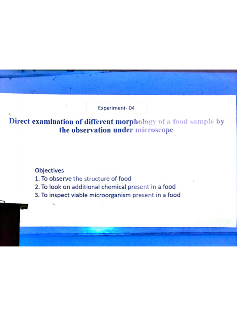 FPP Lab - 04 27-05-24 | PDF