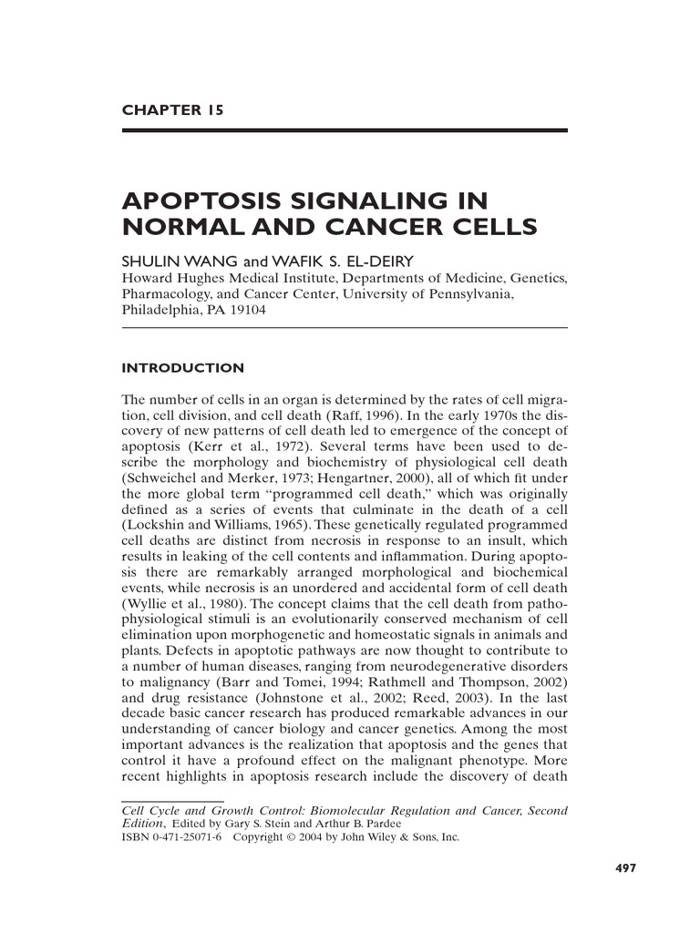 Apoptosis Signaling in Cancer Cells | PDF | Apoptosis | Protein Kinase B