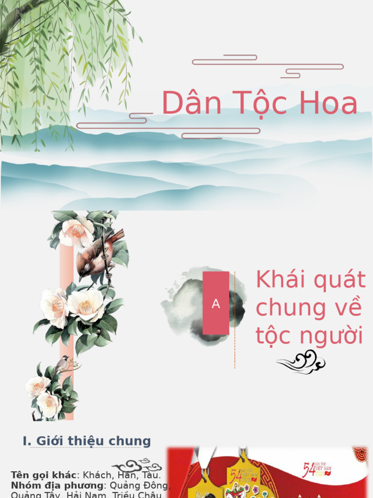 Dân T C Hoa | PDF
