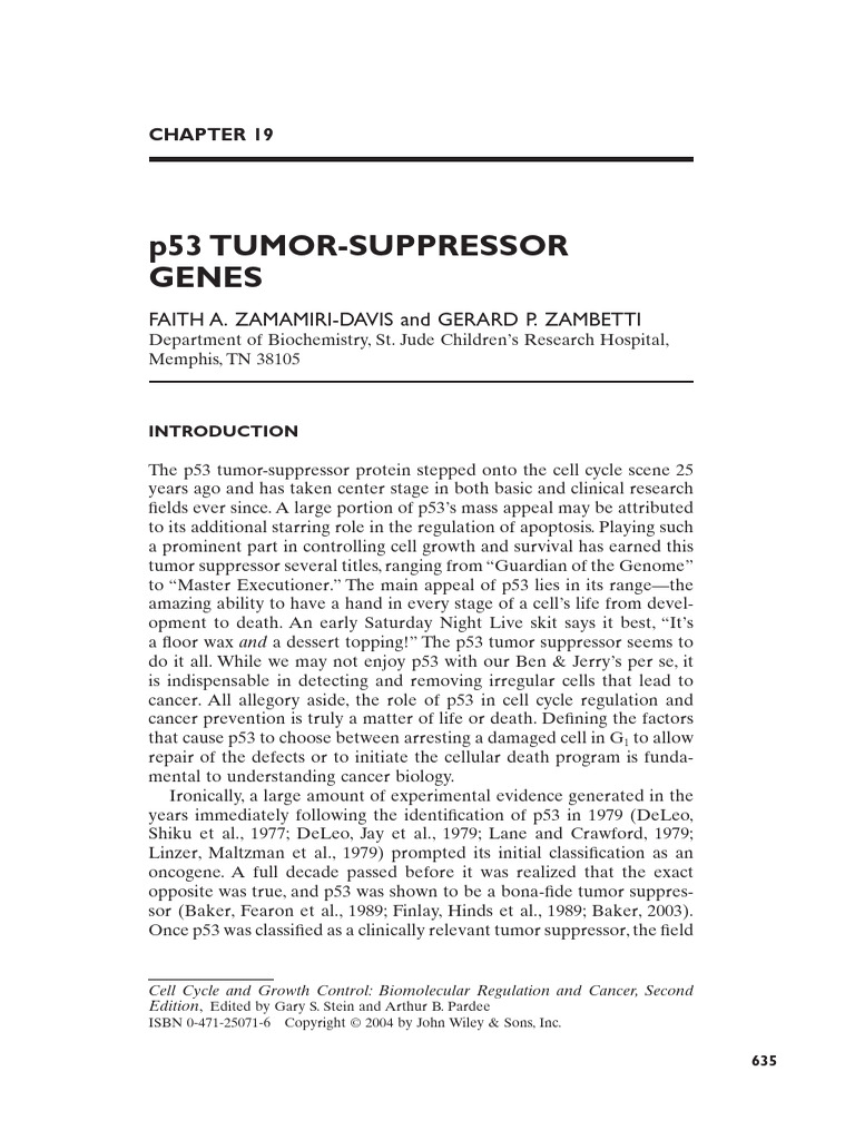 p53 Tumor-Suppressor Genes | PDF | Apoptosis | P53