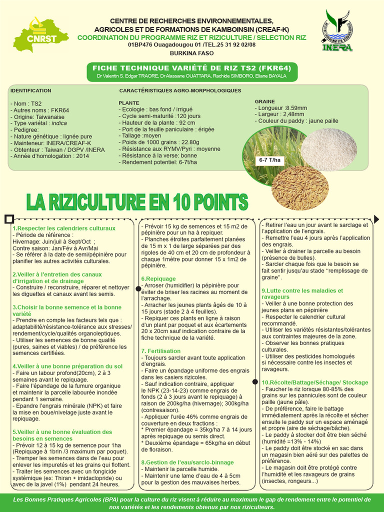 Grass names - Earth@Home: Evolution, image size:768x1024