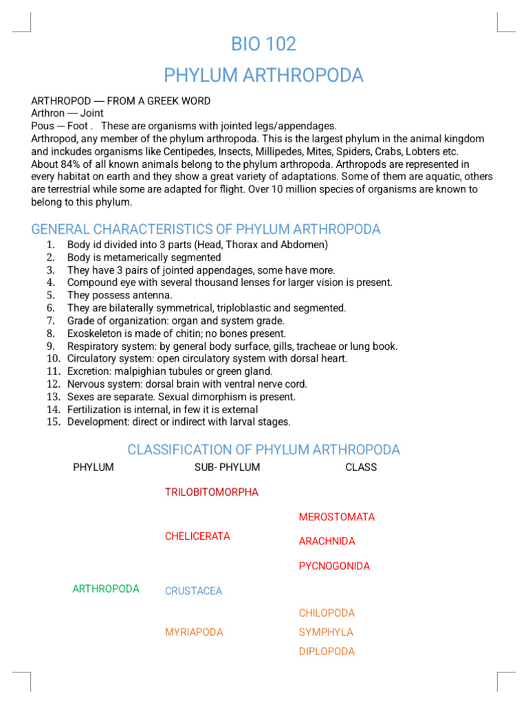 Overview of Phylum Arthropoda | PDF | Hexapoda | Insects