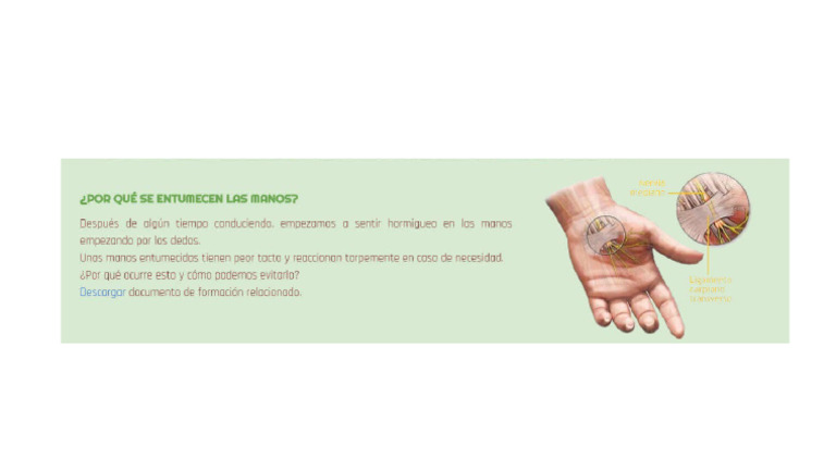 Mano Entumida 2022 | PDF