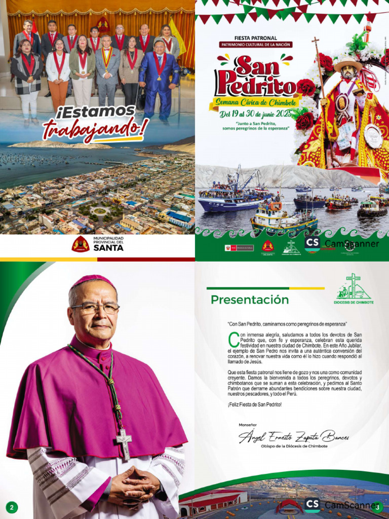 Programa San Pedrito 2025 | PDF
