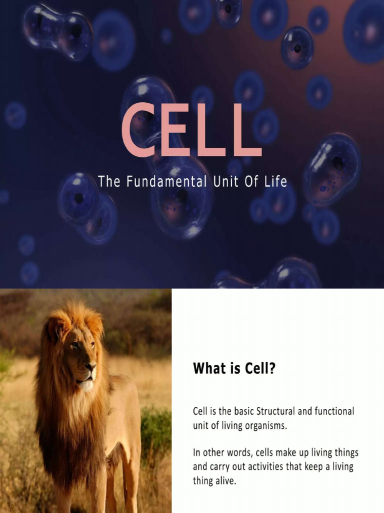 CELL STRUCTURE AND FUNCTIONS PDF visual data 5