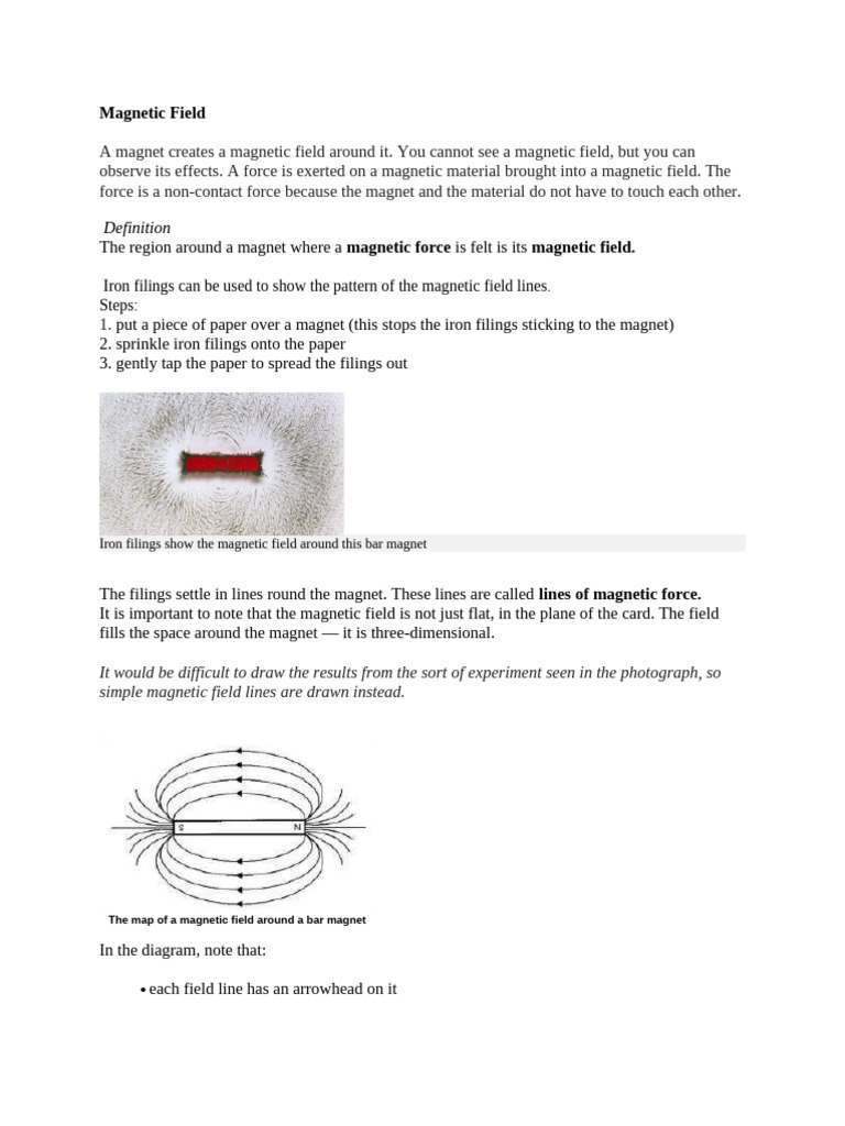 Understanding Magnetic Fields and Forces | PDF