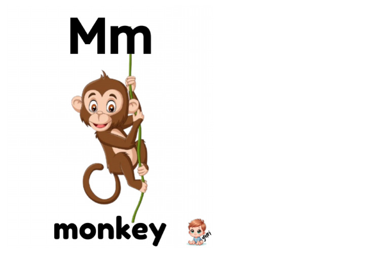 Monkey | PDF