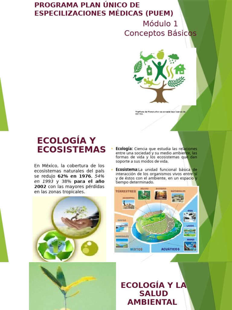 Presentación1 | PDF | Entorno natural | Sustentabilidad