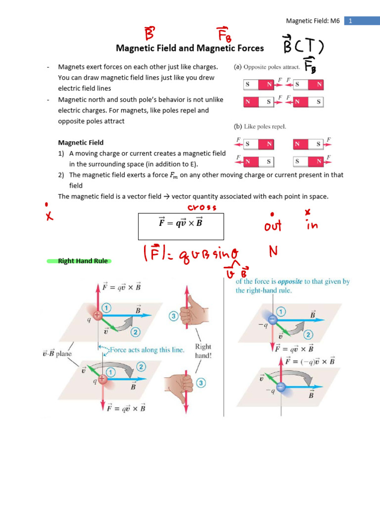 Understanding Magnetic Fields and Forces | PDF | Electromagnetism