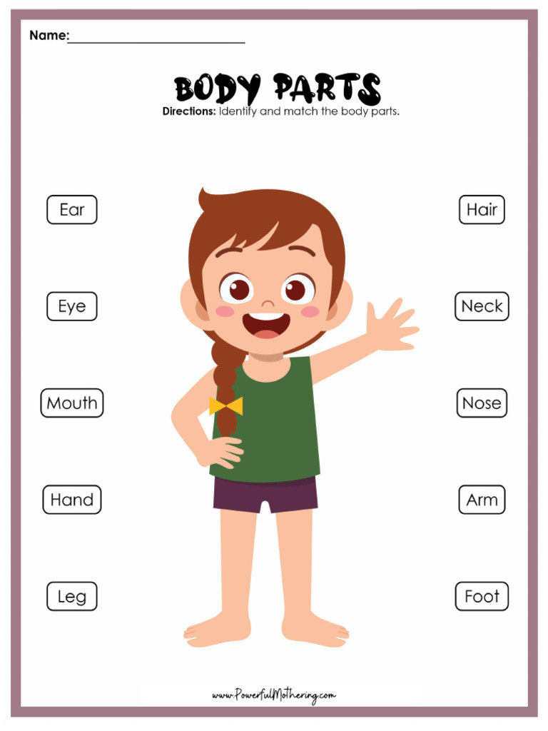 1 ANO Parts of The Body | PDF